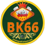 BK66 Game
